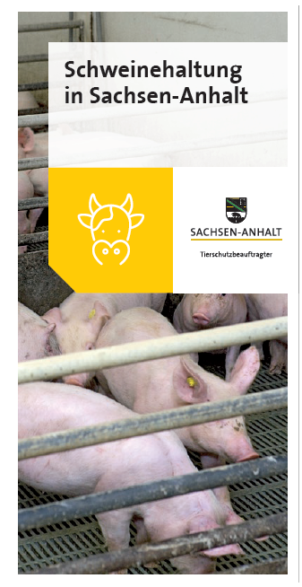 Deckblatt des Flyers "Schweinehaltung in Sachsen-Anhalt"