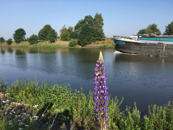 Fluss mi Schiff