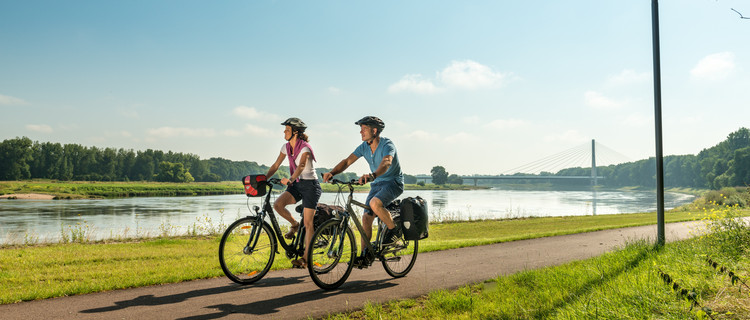 Radfahren auf dem Elberadweg