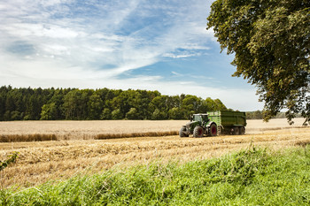 Traktor im Sommer auf einem gelben Getreidefeld